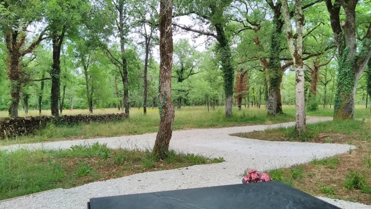 La Terrasse - A Peaceful Place In The Forest Concots Extérieur photo